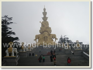 Chengdu Chongqing Yangtze River 8 Day Tour with Bullet Train Experience